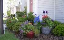 Beautiful Landscaping