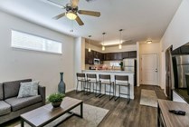 Fully Furnished Common Living Area/Kitchen