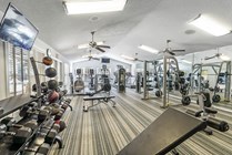 43-web-or-mls-DSC05323