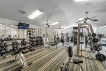 44-web-or-mls-DSC05328