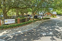 36-web-or-mls-DJI_0806