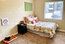 Photo #7