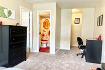 Photo #8