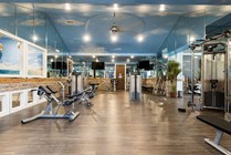 Luxurious fitness center with mirrored walls, modern exercise equipment