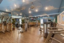 Elegant fitness center with modern gym equipment, mirrored walls, and a scenic ceiling design, creating an inviting workout atmosphere.