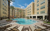 Photo of Saga Tallahassee