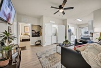 Luxe - Model - Living Room