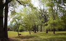 Photo of Redpoint Tallahassee Apartments