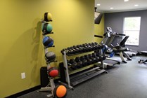 Gym - Med Balls _ Free Weights