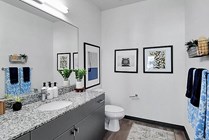 Model-Bathroom-02-The-Rowe-Tallahassee-FL-11