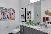 Model-Bathroom-03-The-Rowe-Tallahassee-FL-11
