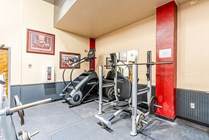 Experience a refreshing workout in this bright and inviting gym space.
